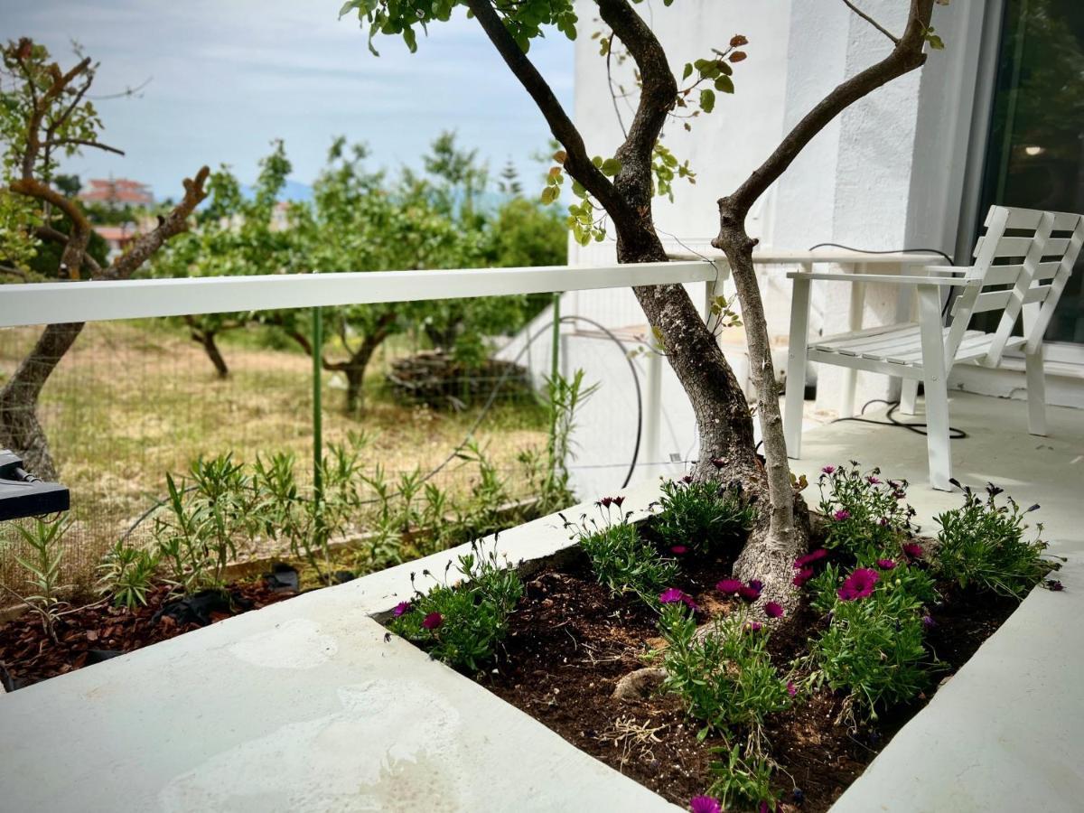Cozystudio Chalkida Exterior foto